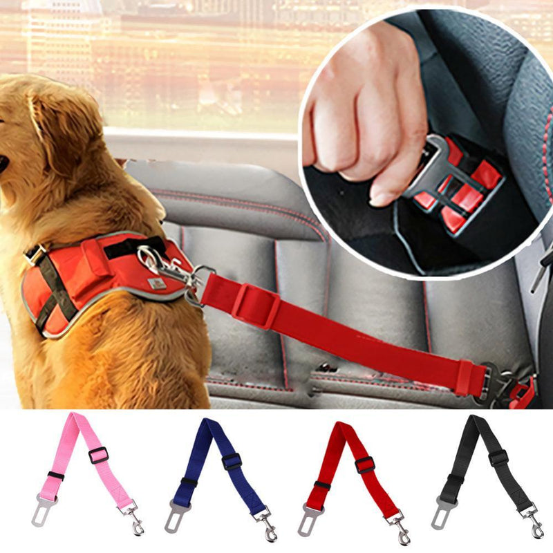 Safety Belt for Dogs