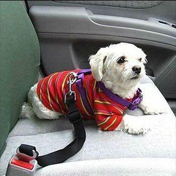 Pet Seat Belt (6 Colors Available)